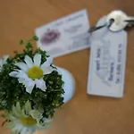 Amphi مرمريس